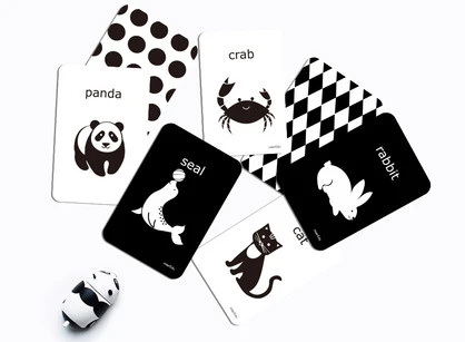 COGNITIVE FLASH CARDS-BLACK & WHITE