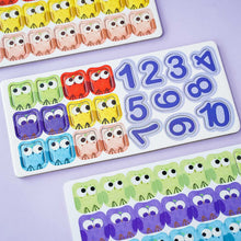 Load image into Gallery viewer, Mi Maths Brain - OMI Owl Counter Set (Magnetic)