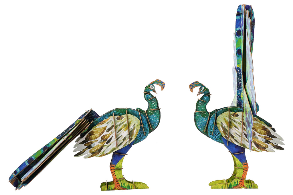 ECO 3D Puzzle-Peacock