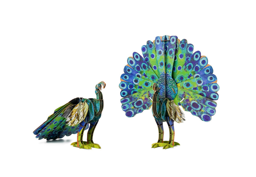 ECO 3D Puzzle-Peacock