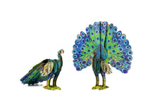 Load image into Gallery viewer, ECO 3D Puzzle-Peacock