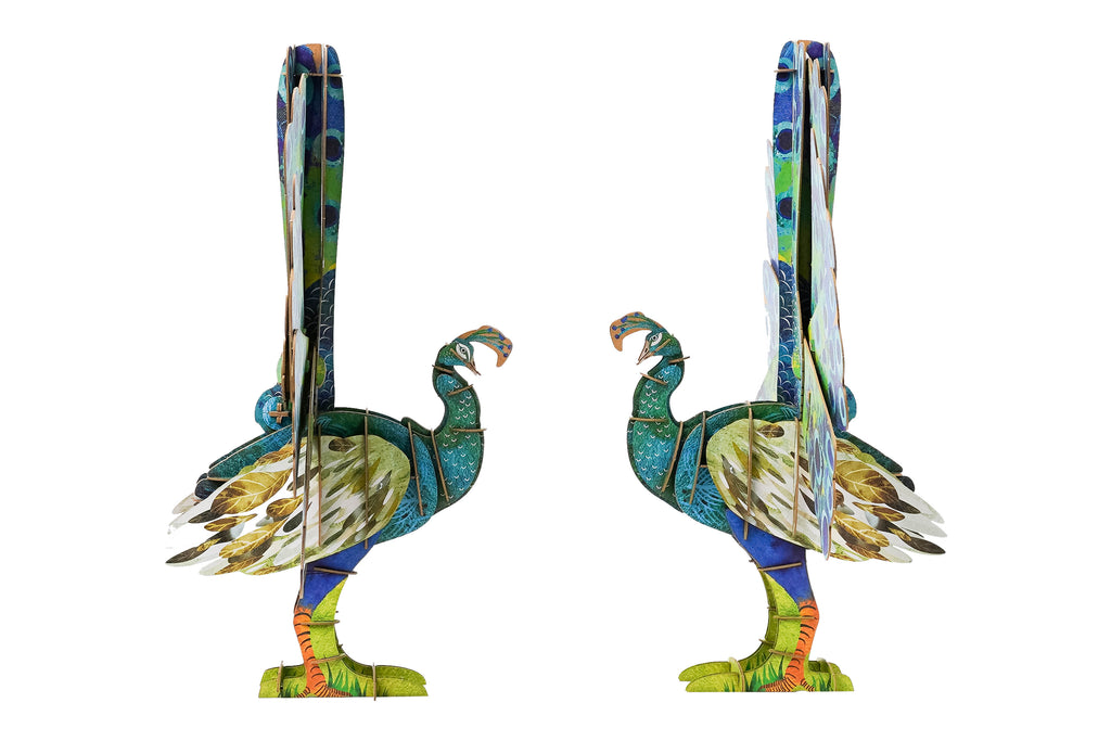 ECO 3D Puzzle-Peacock