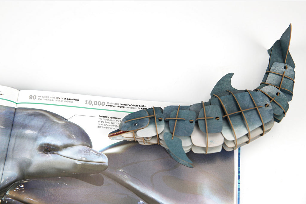 ECO 3D Puzzle-Bottlenose Dolphin