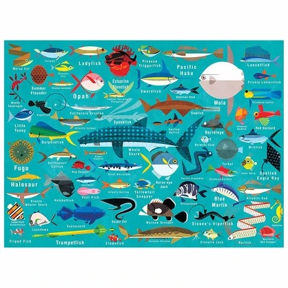 OCEAN LIFE PUZZLE  1000PCS