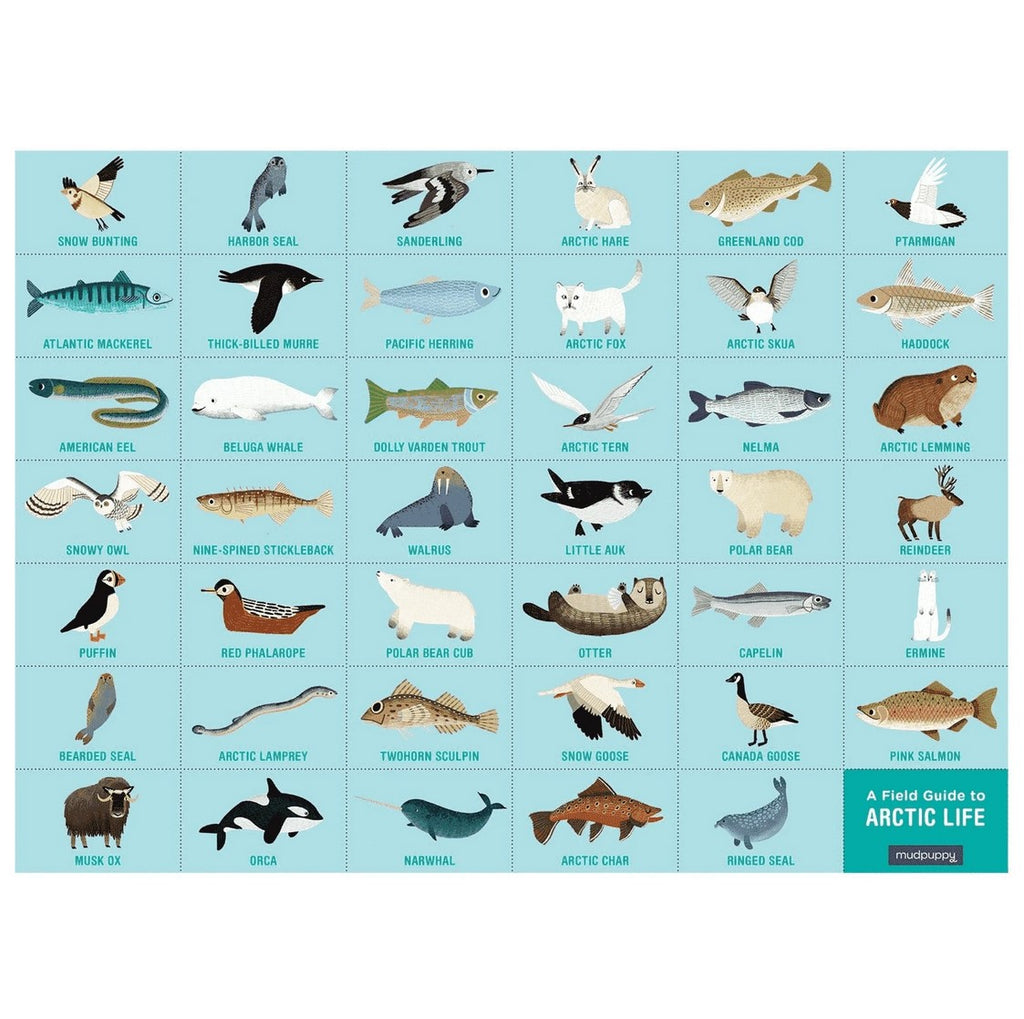 Search & Find Arctic Life 64 Piece Puzzle