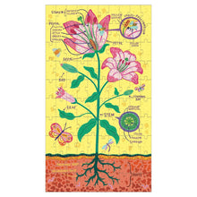 Load image into Gallery viewer, Plant Anatomy Science Puzzle Set