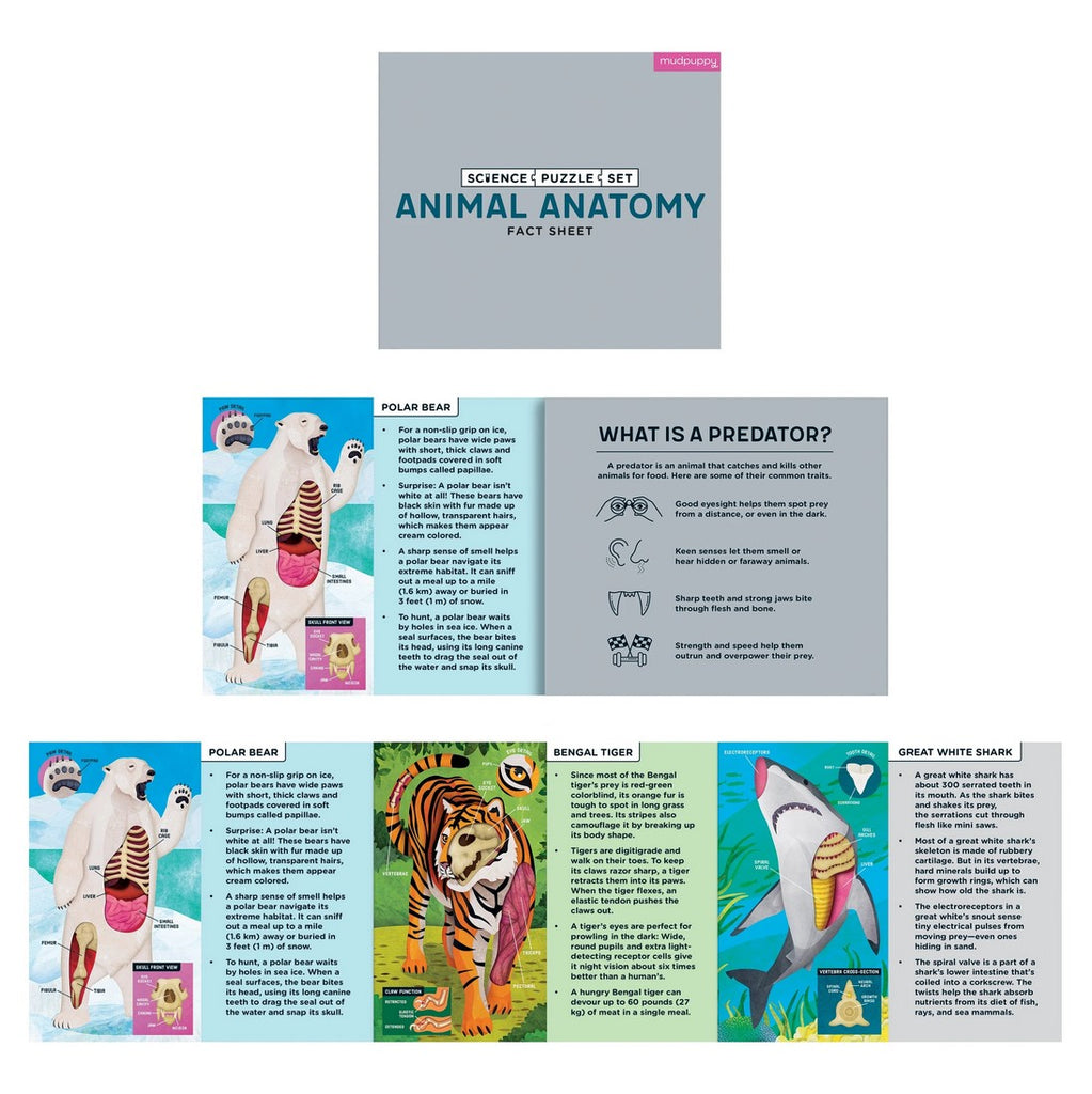 Animal Anatomy Science Puzzle Set