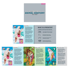 Load image into Gallery viewer, Animal Anatomy Science Puzzle Set
