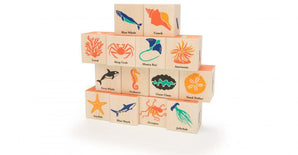OCEAN BLOCKS 14 PC