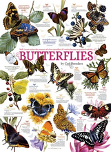 Load image into Gallery viewer, BUTTERFLY COLLECTION, 1000PCS