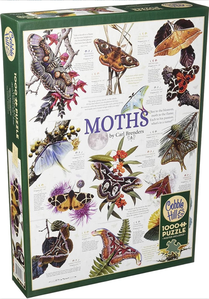 Moth Collection, 1000pcs