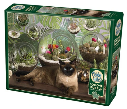 TERRARIUM CAT, 1000PCS