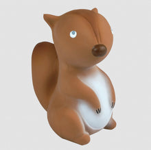 Load image into Gallery viewer, My 1st Tikiri Arctic Squirrel - Gift Box