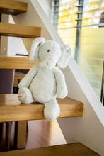 Load image into Gallery viewer, Ernie the Elephant Organic Toy