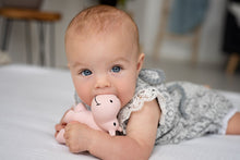 Load image into Gallery viewer, MY 1st Tikiri Safari - Hippo - Natural Rubber Baby Rattle and Bath Toy, GIFT BOX