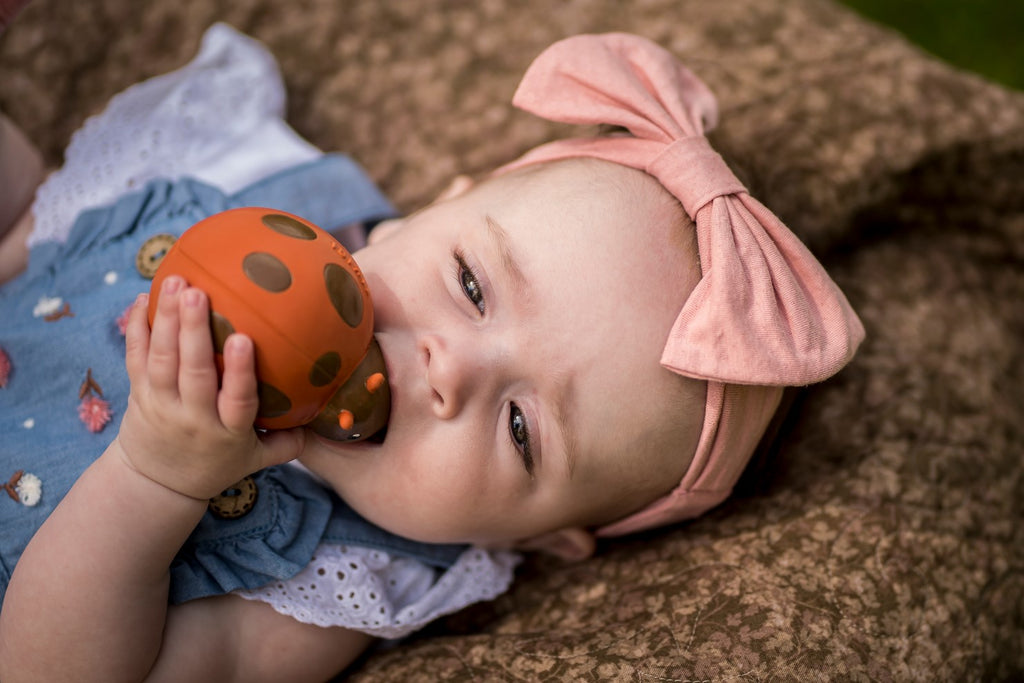 Tikiri Garden Animals - Ladybug Teether and Rattle Toy, GIFT BOX