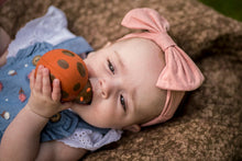 Load image into Gallery viewer, Tikiri Garden Animals - Ladybug Teether and Rattle Toy, GIFT BOX