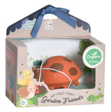 Tikiri Garden Animals - Ladybug Teether and Rattle Toy, GIFT BOX