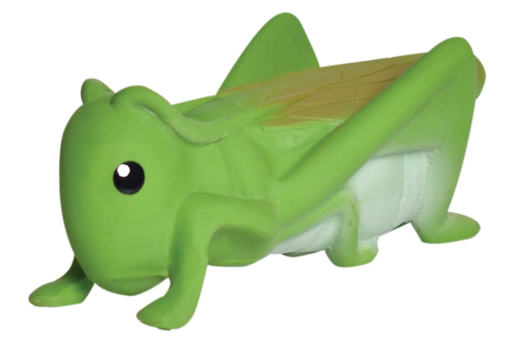 Tikiri Garden Animals - Grasshopper Teether and Rattle Toy, GIFT BOX