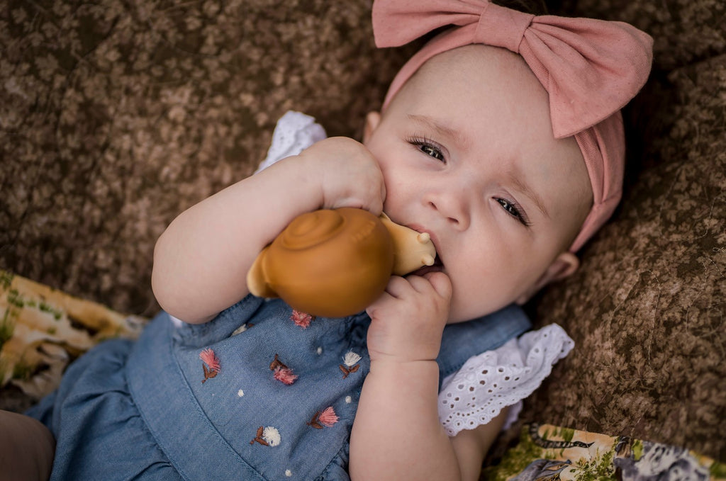 Tikiri Garden Animals - Snail Teether and Rattle Toy, GIFT BOX