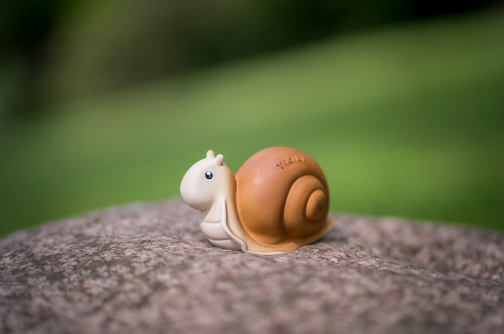 Tikiri Garden Animals - Snail Teether and Rattle Toy, GIFT BOX