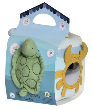 Ocean Activity Cube