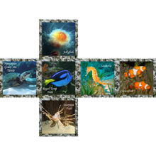 Load image into Gallery viewer, SEA WORLD  3X3  PILLOW  BORDER