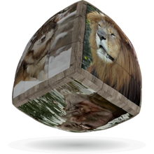 Load image into Gallery viewer, WILD ANIMALS  3 X 3 PILLOW  BORDER